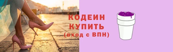 скорость Вяземский