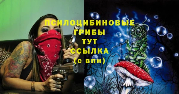 скорость Вяземский