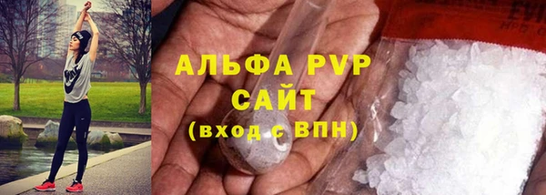 скорость Вяземский