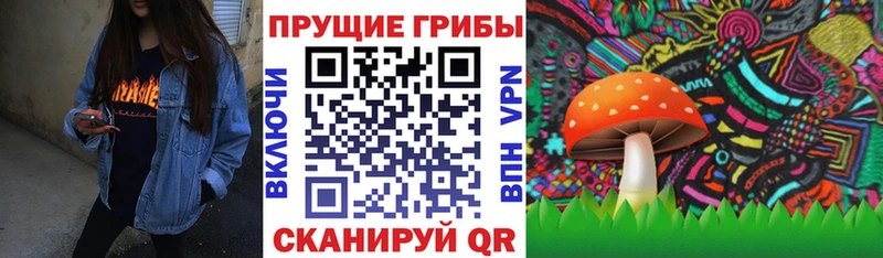 Псилоцибиновые грибы GOLDEN TEACHER  Купить закладки  Кашира 